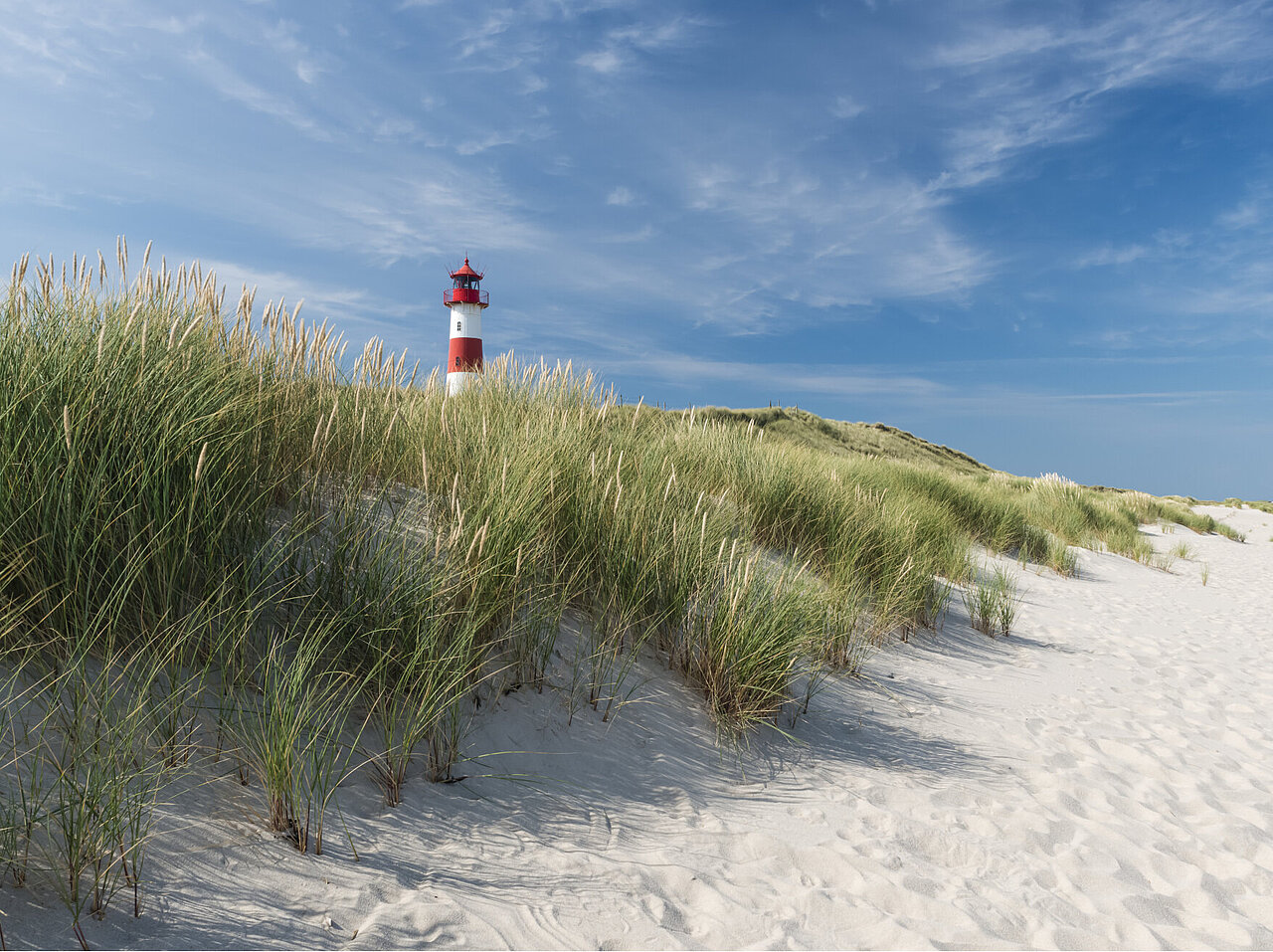 DSR_Asset_Standorte Roter und weißer Leuchtturm hinter Dünengras an einer Küste