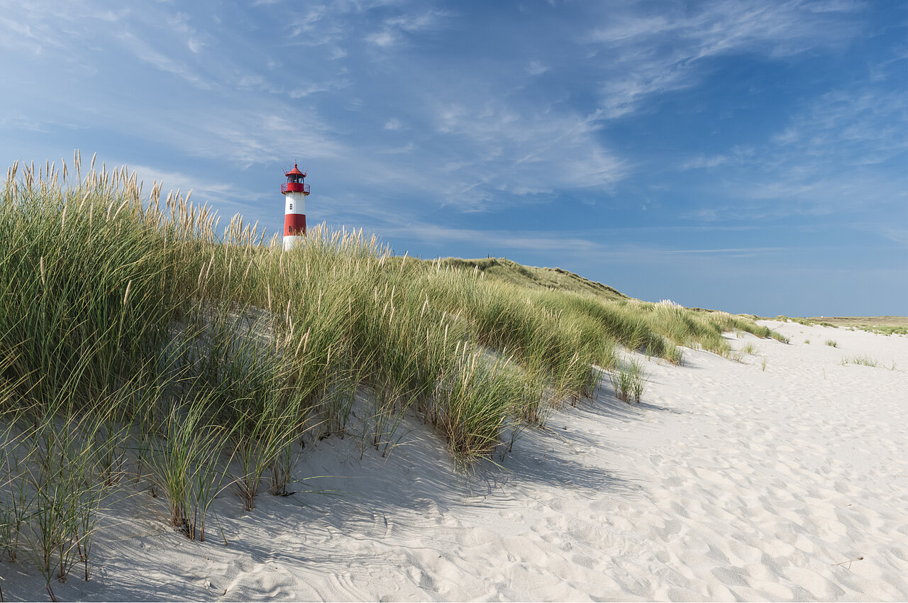 Roter und weißer Leuchtturm hinter Dünengras an einer Küste